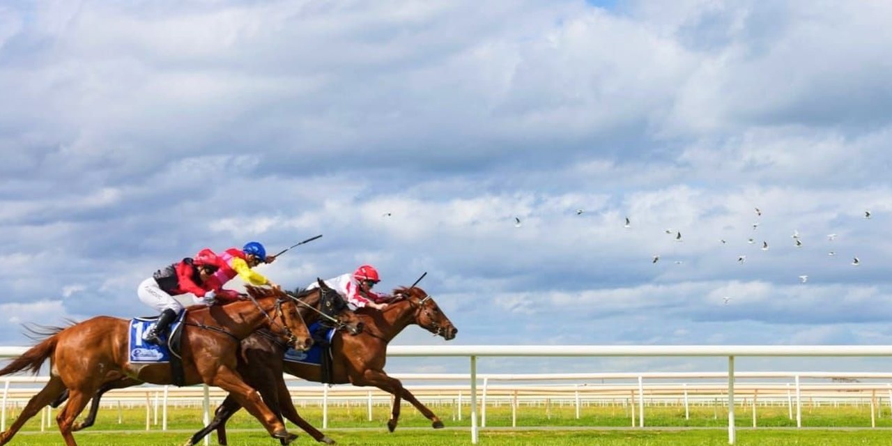 Horses racing down the straight