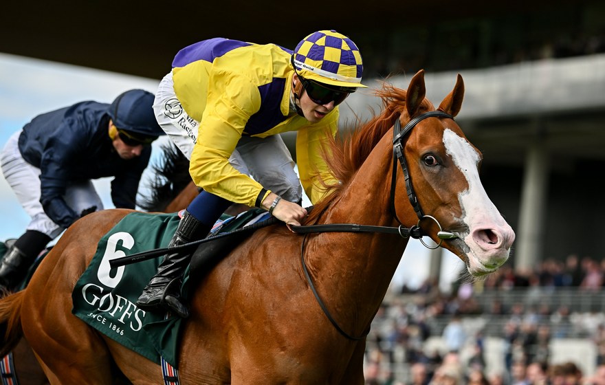 A jockey riding a racehorse during a thoroughbred race